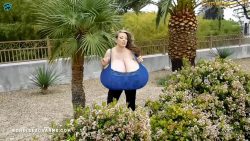 CC and the blue wonder6