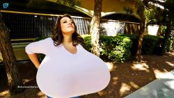 CC spring top curves3