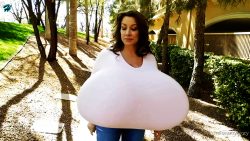 CC spring top curves20